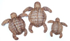 Turtle S Banana Bark 43x43x9 Natural